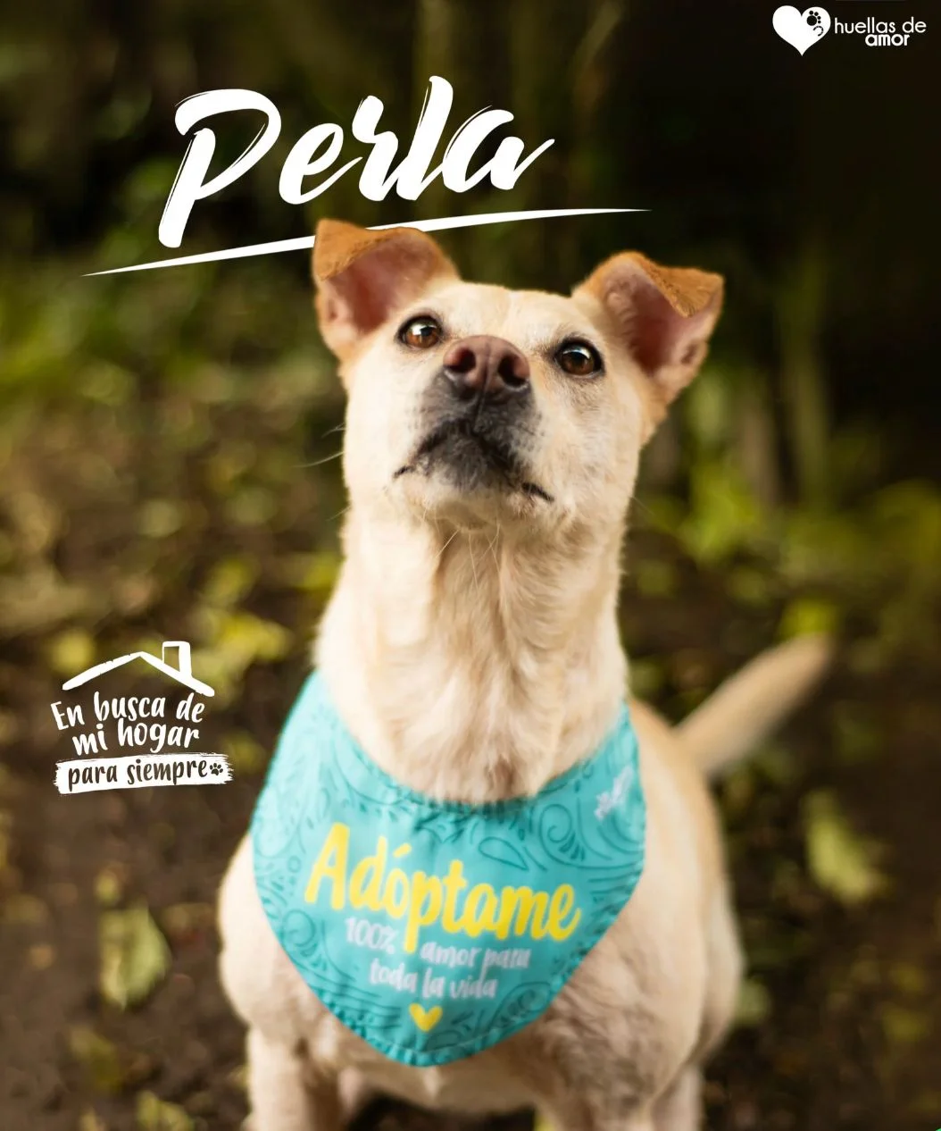 Foto de Perla