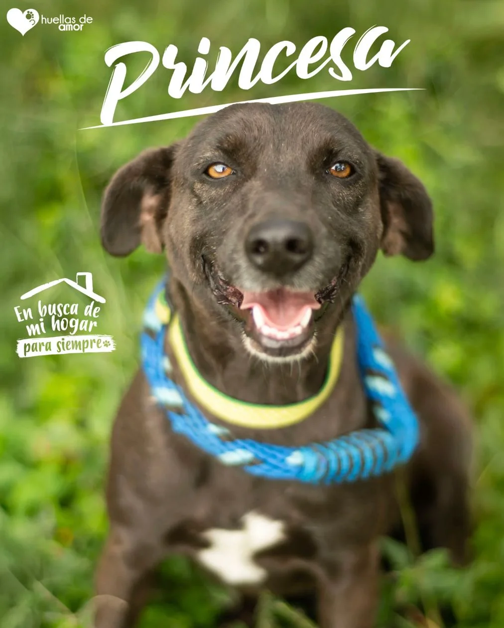 Foto de Princesa