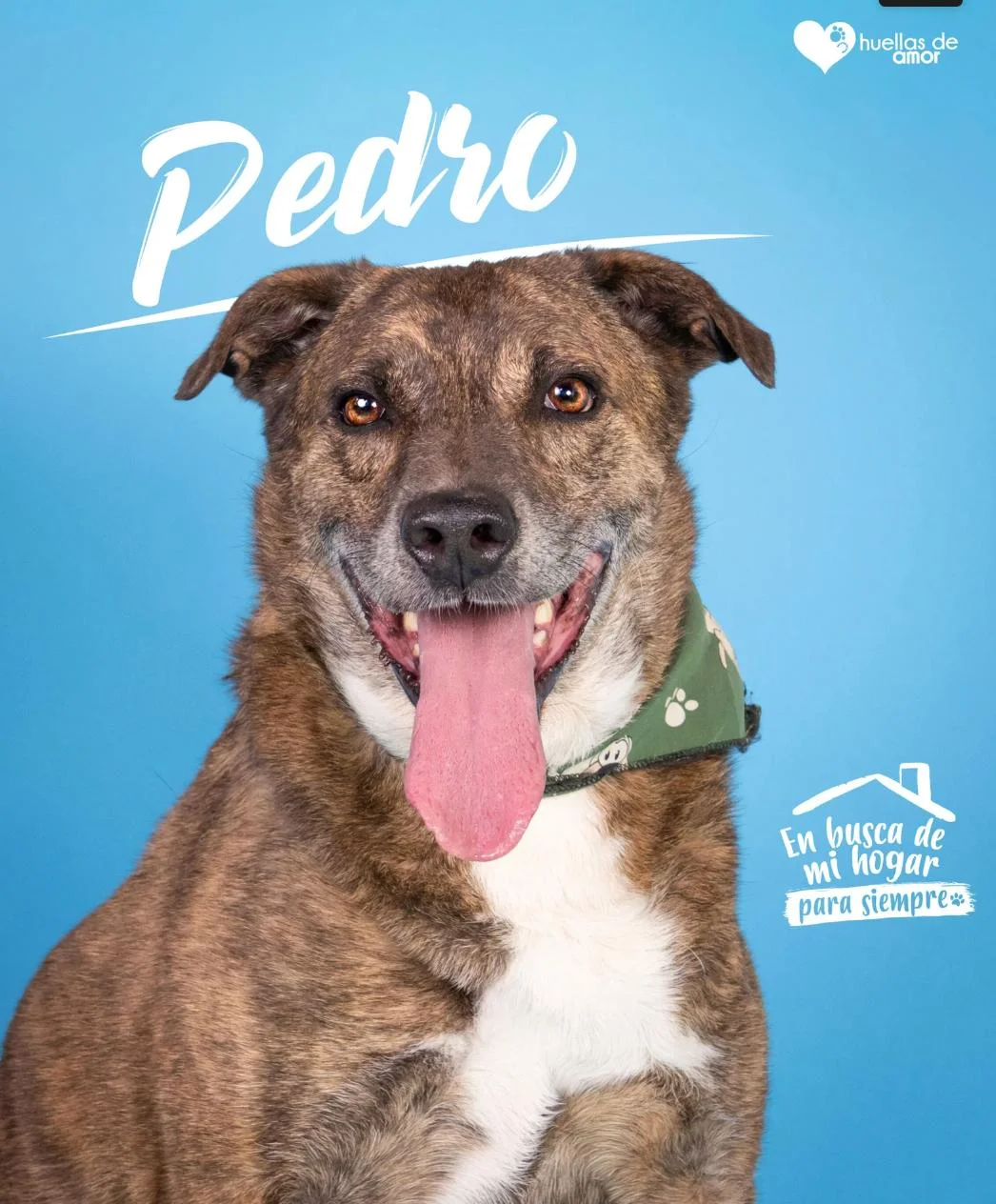 Foto de Pedro