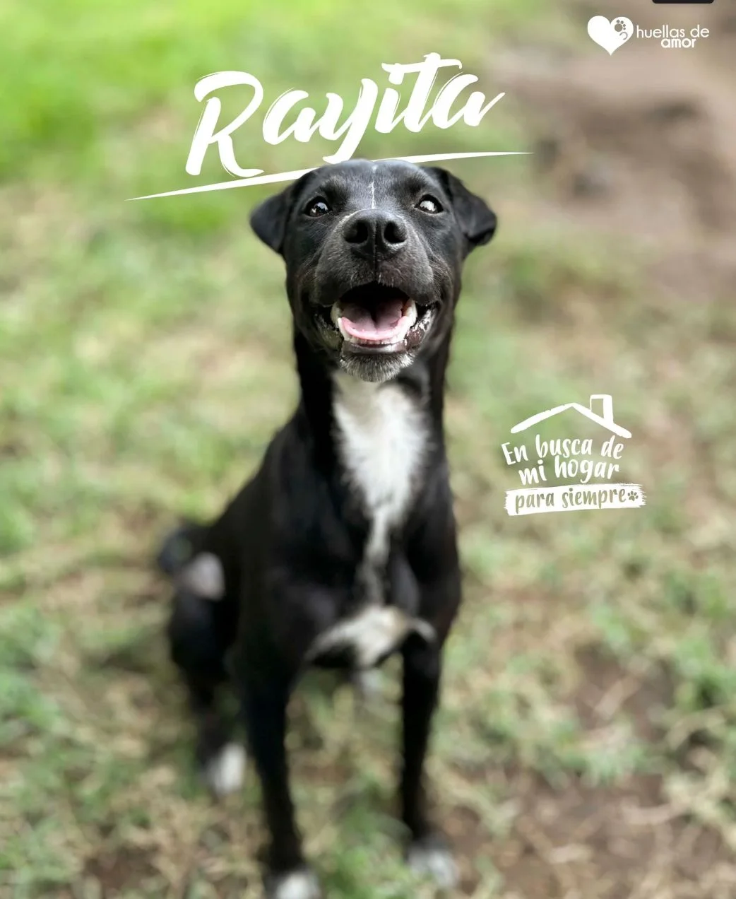 Foto de Rayita