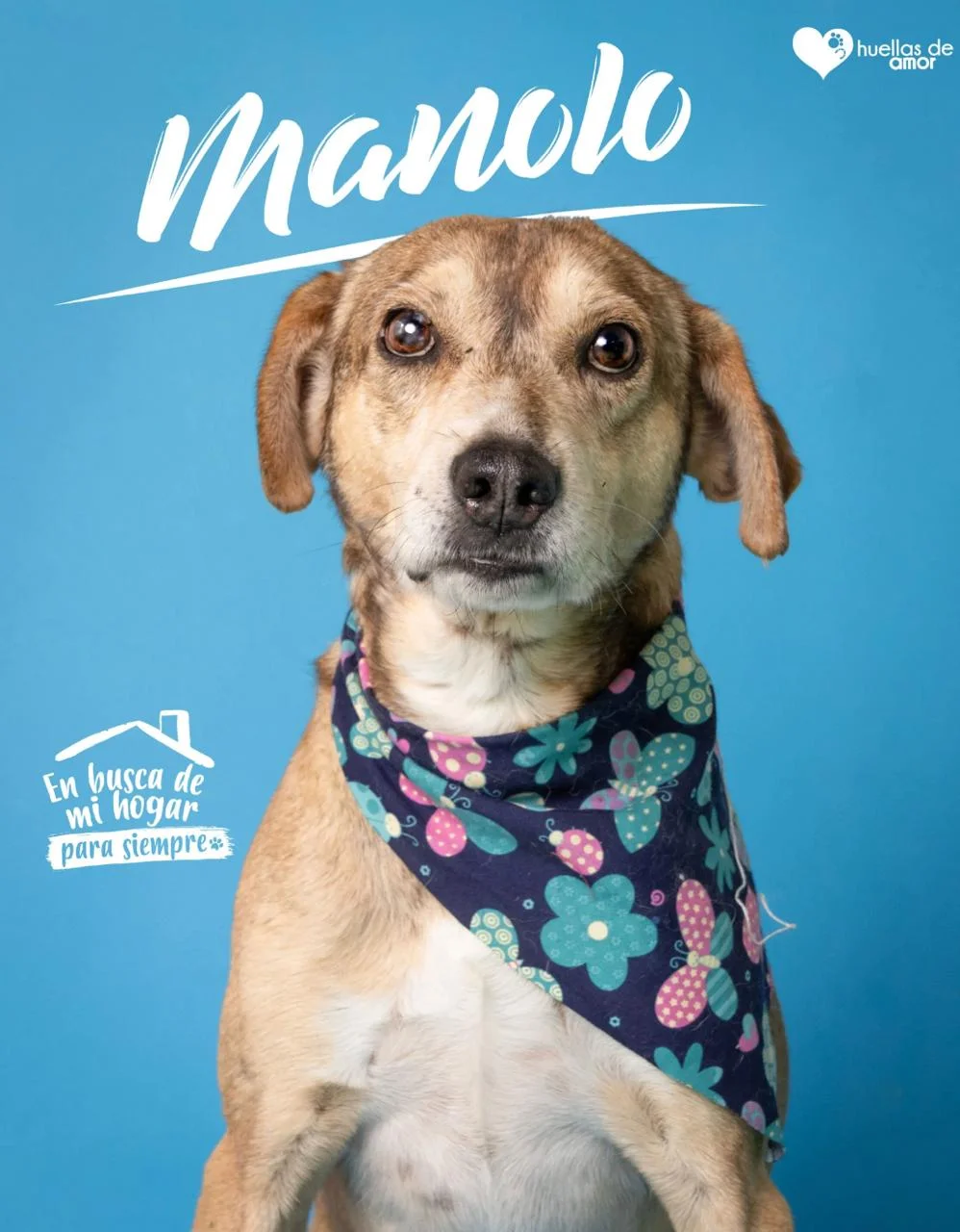 Foto de Manilo