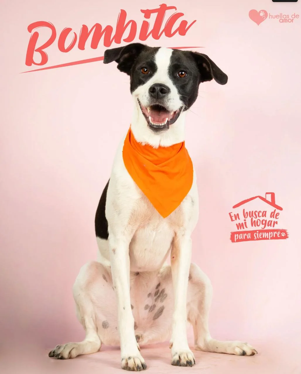 Foto de Bombita