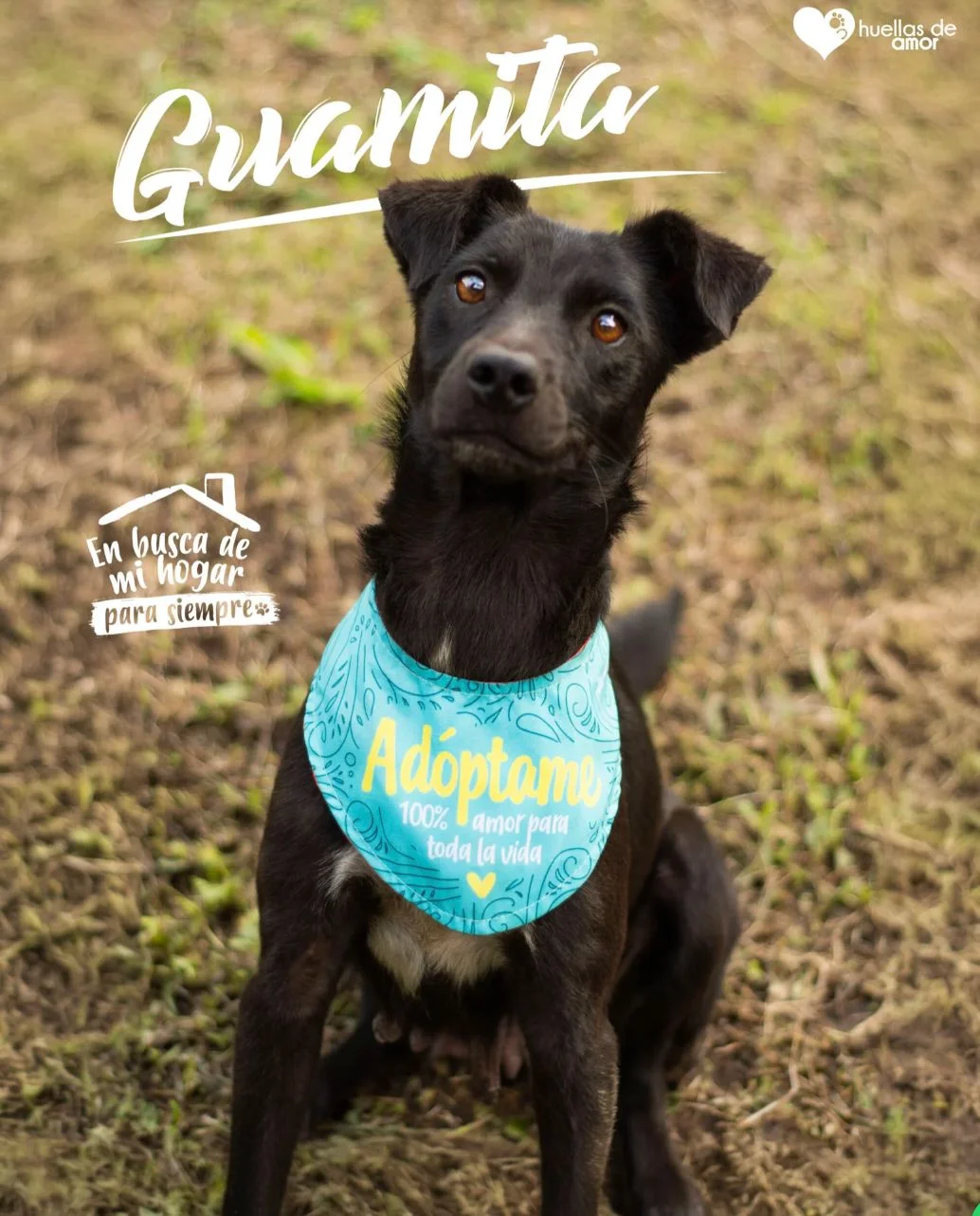 Foto de Guamita